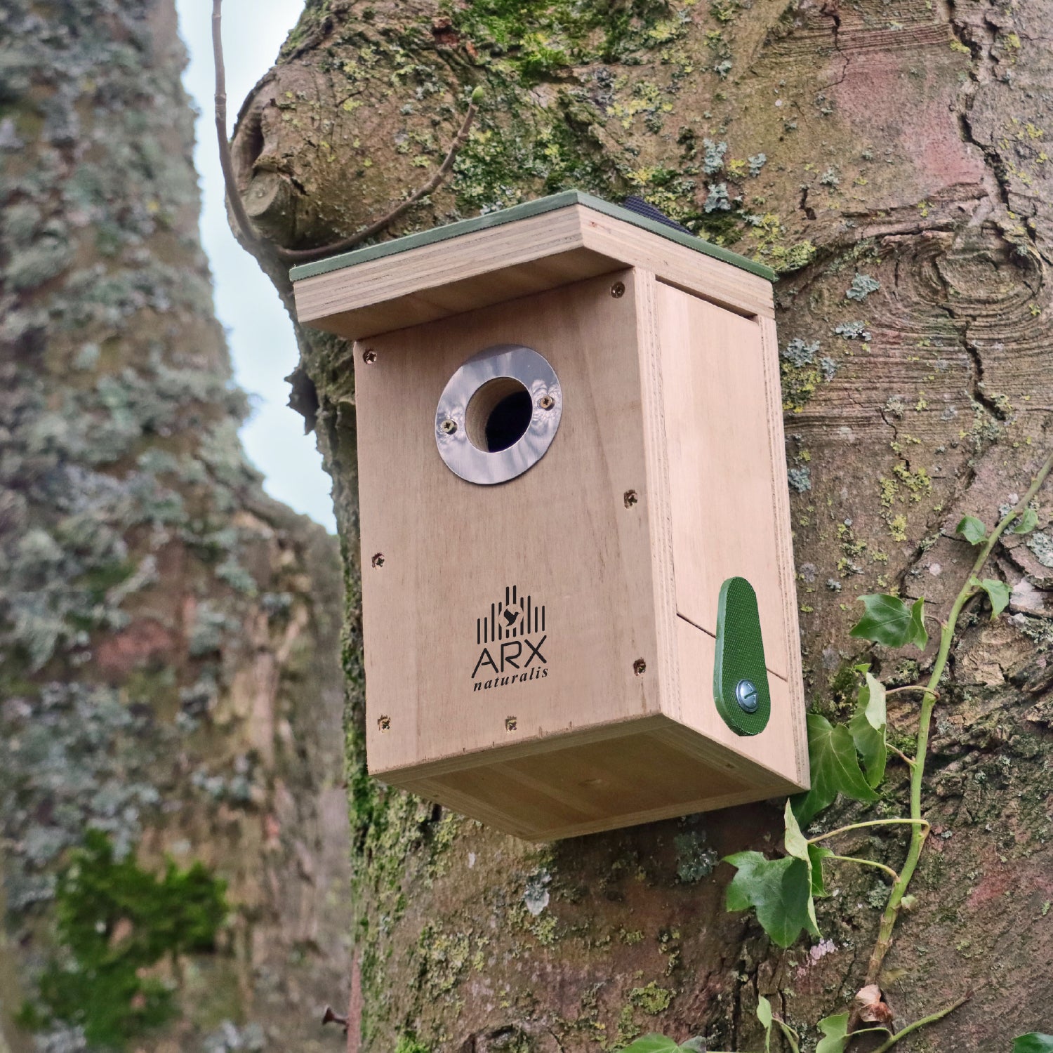 Nature Restoration Basic Bird Nest Box