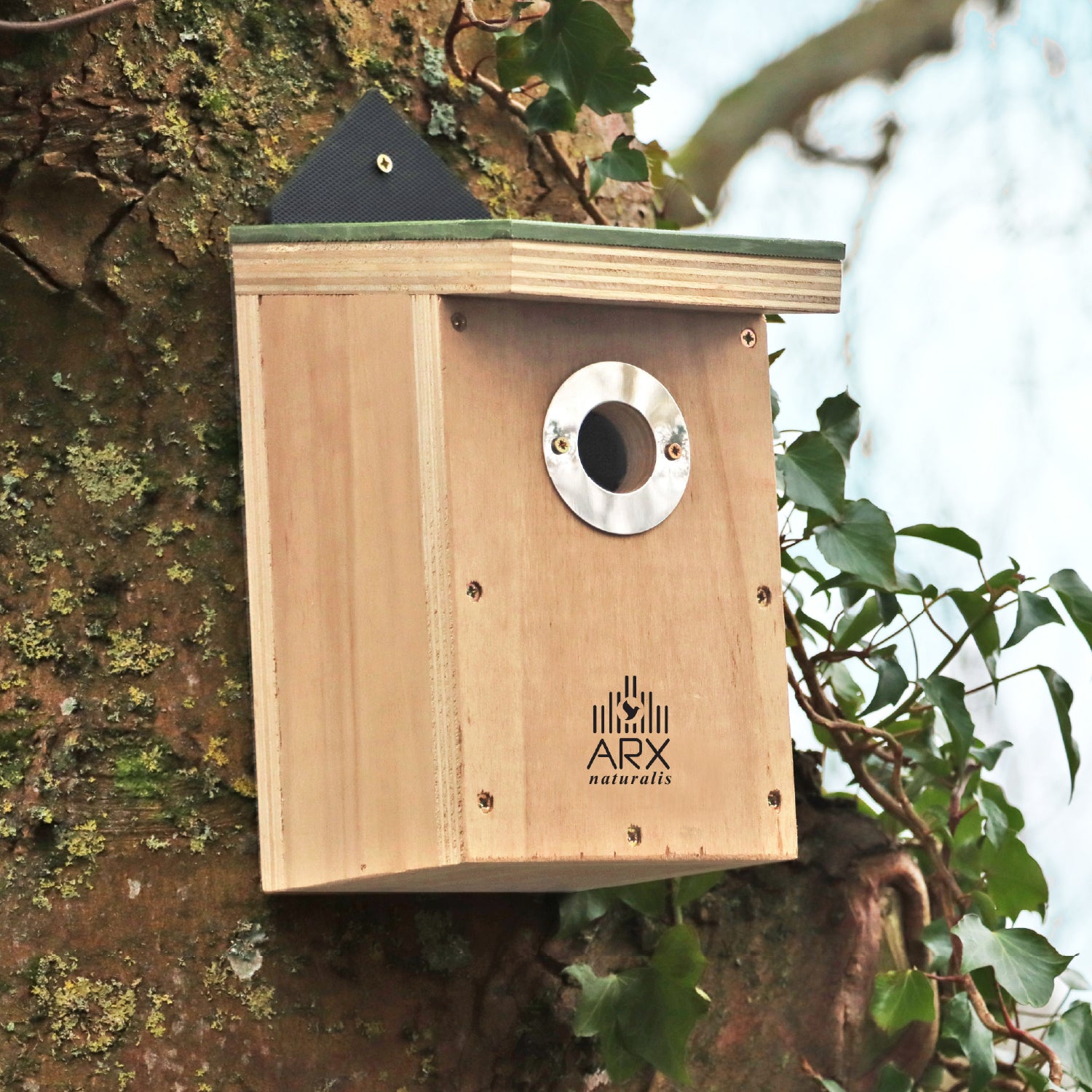 Nature Restoration Basic Bird Nest Box – ARX naturalis