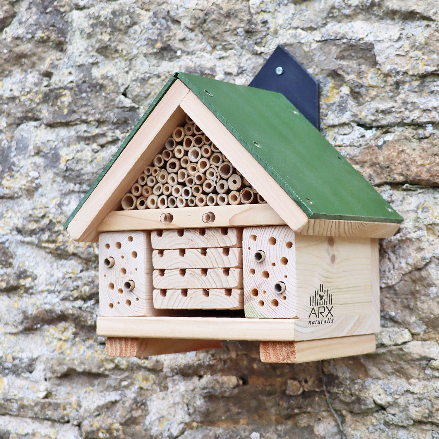 'Citizen Science' Bee Nester