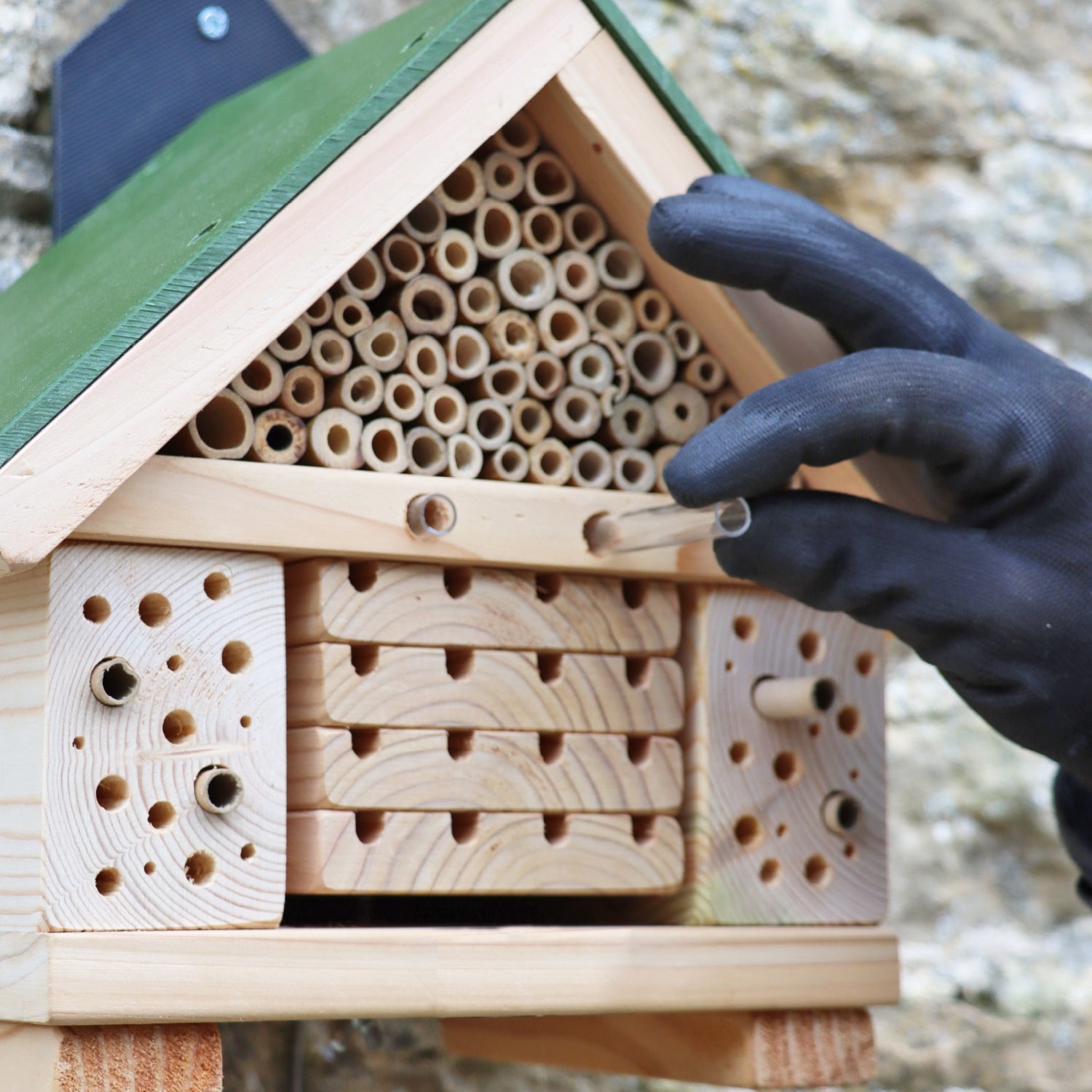 'Citizen Science' Bee Nester