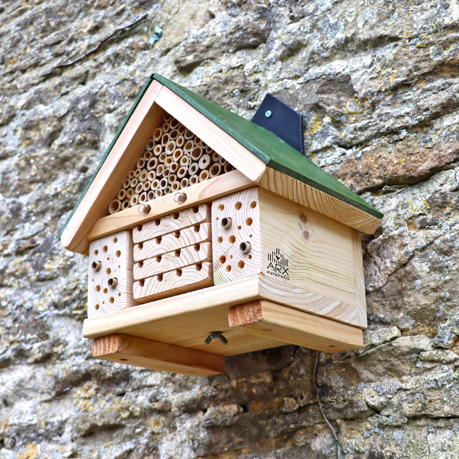 'Citizen Science' Bee Nester