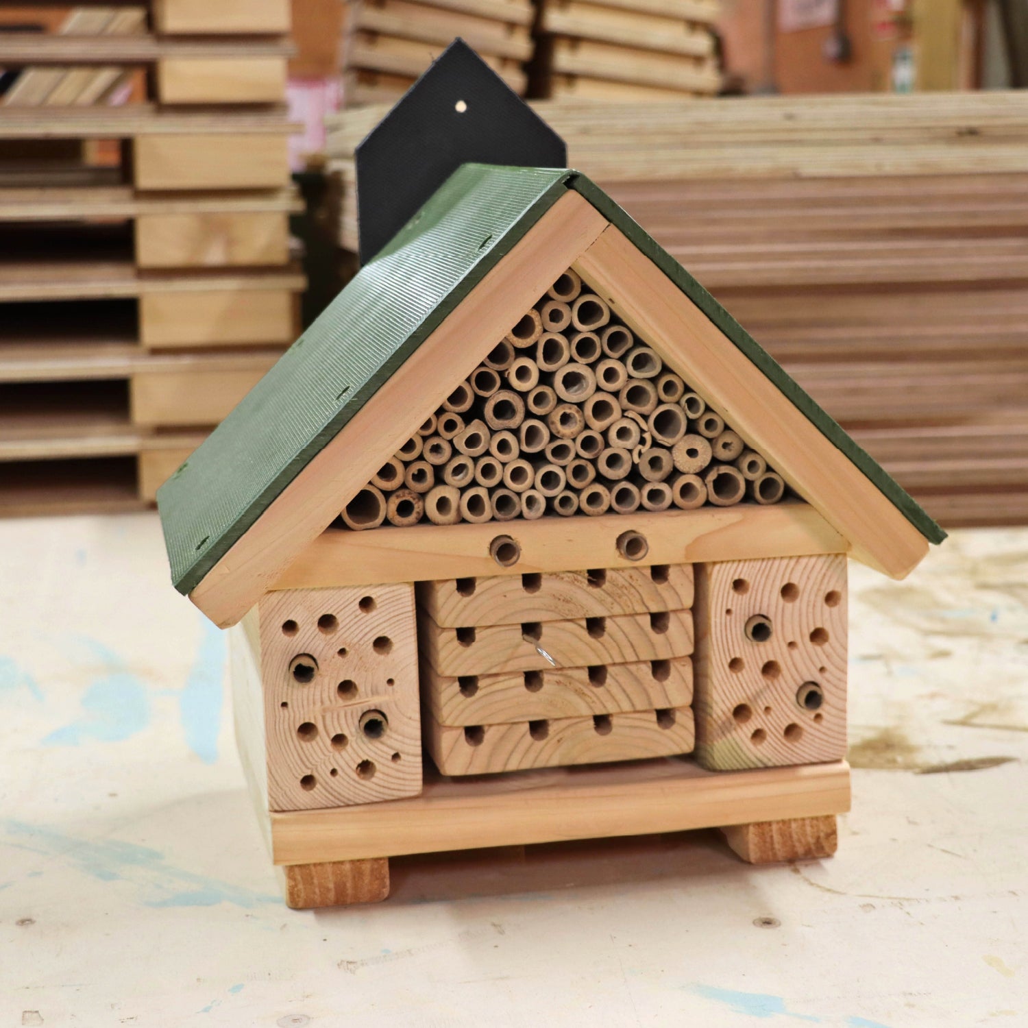'Citizen Science' Bee Nester
