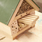 'Citizen Science' Bee Nester
