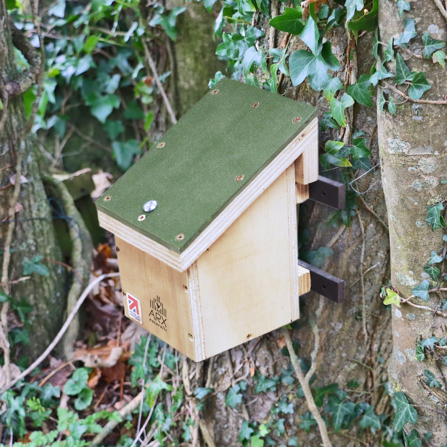 Dormouse / Mini-mammal / Bird box