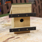 Dormouse / Mini-mammal / Bird box