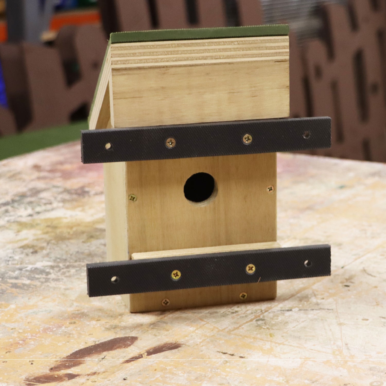 Dormouse / Mini-mammal / Bird box
