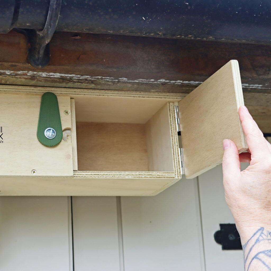 Swift Eaves Box