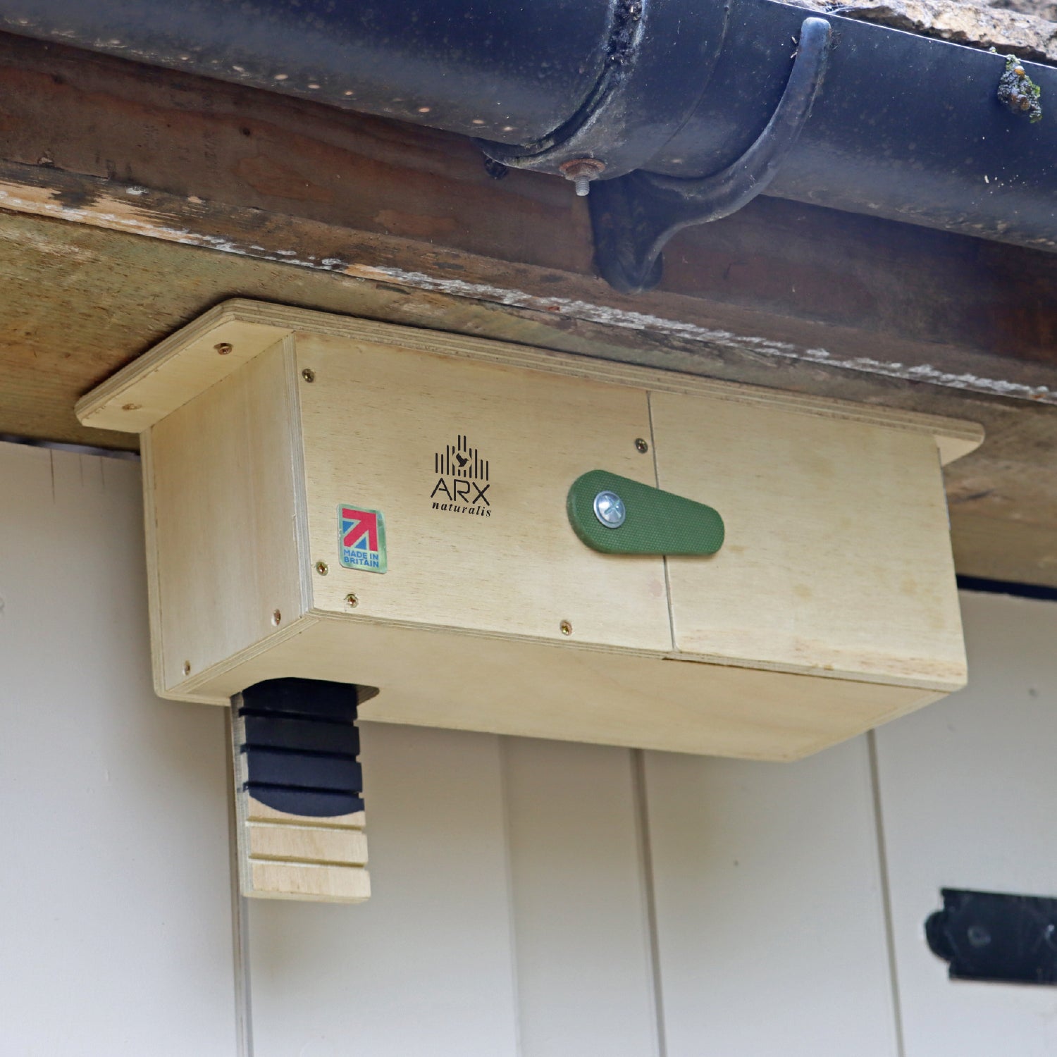 Swift Eaves Box