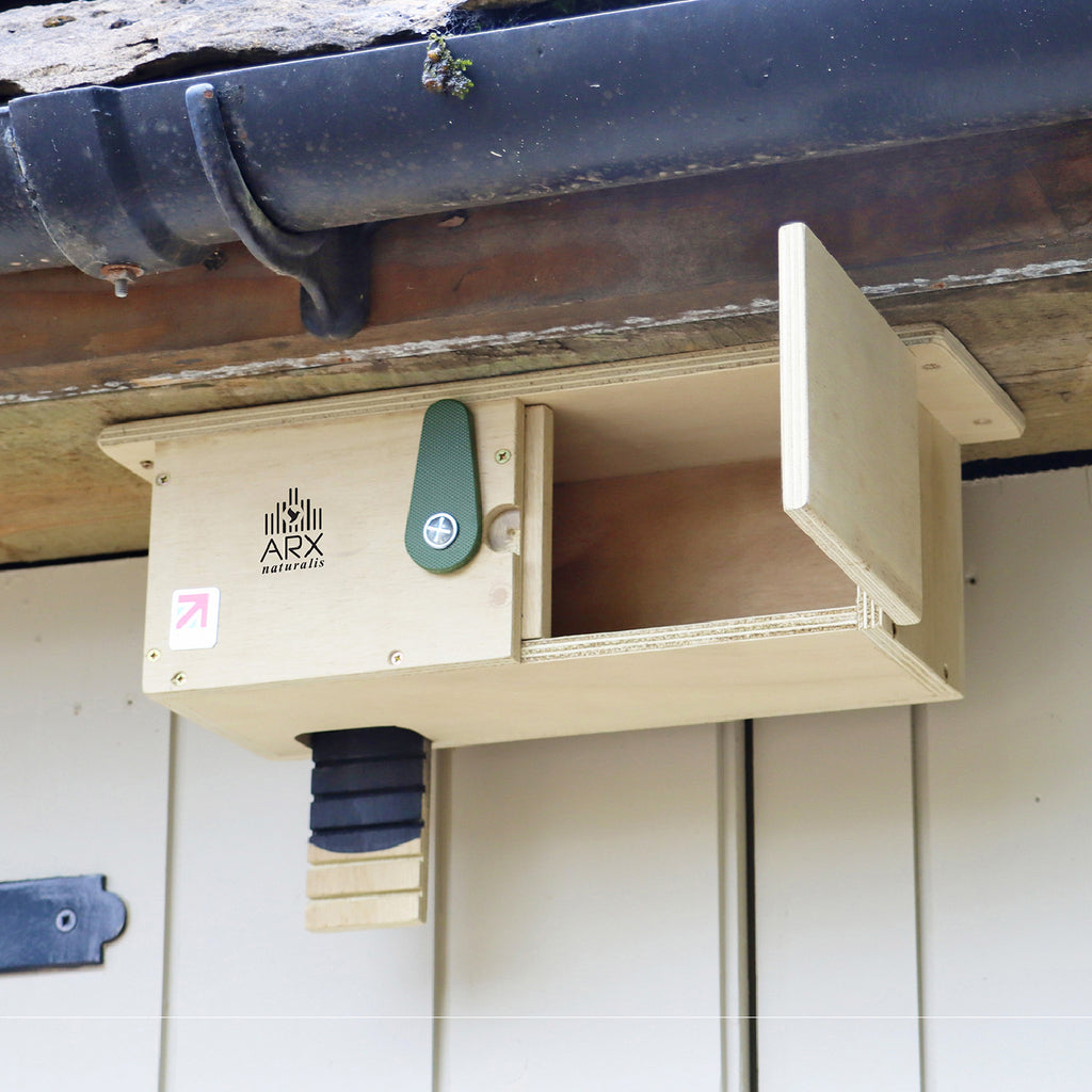 Swift Eaves Box