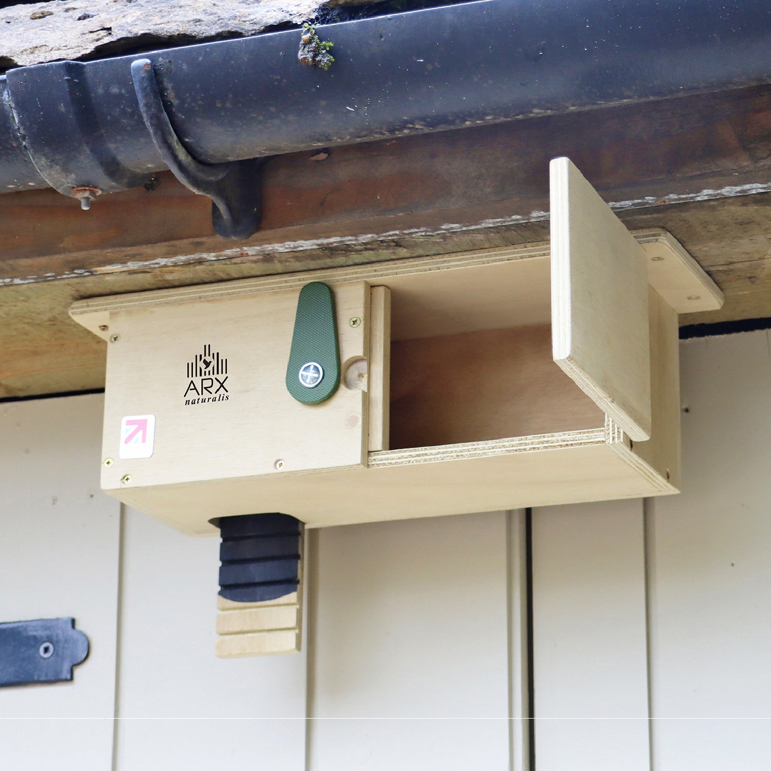Swift Eaves Box