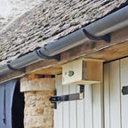 Swift Eaves Box