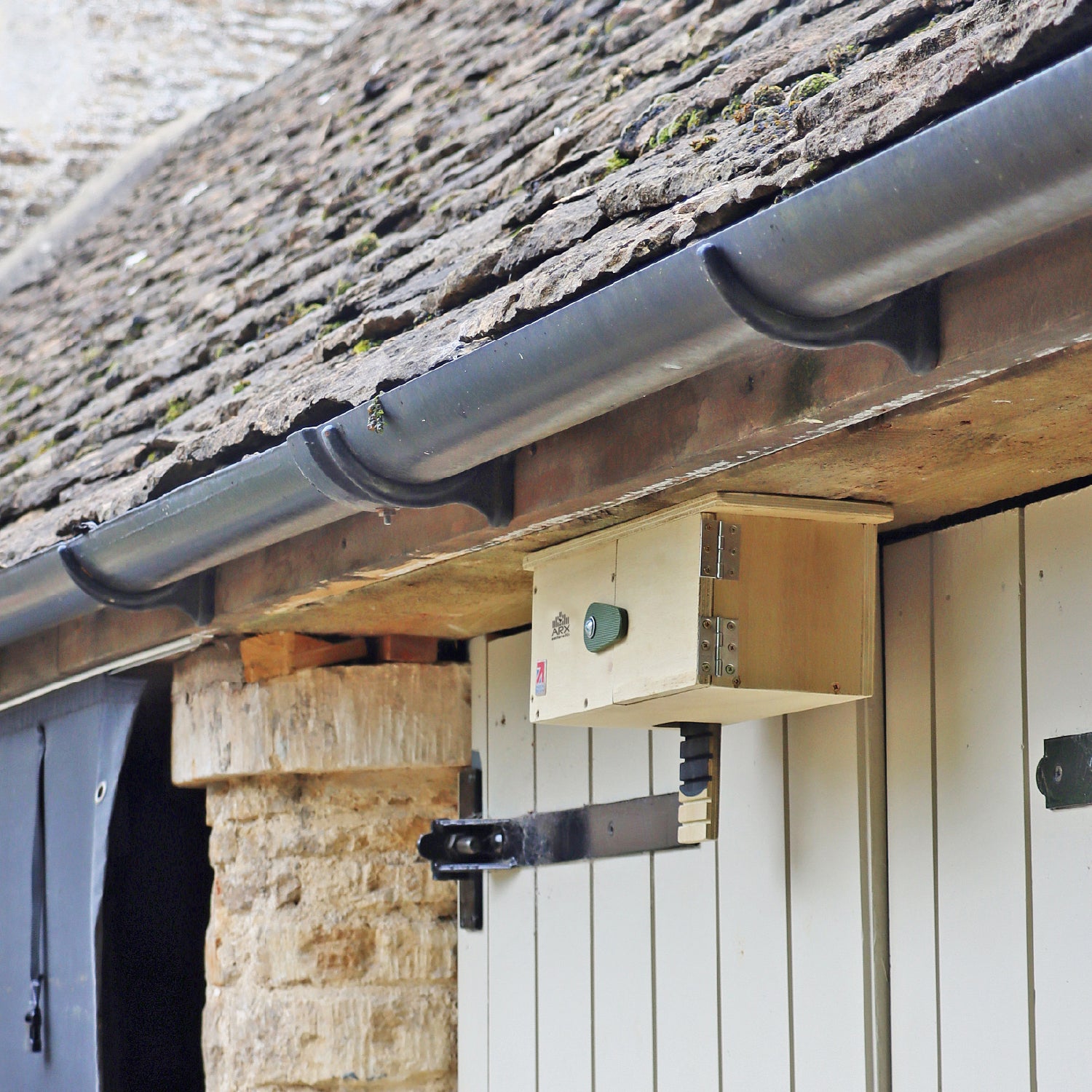 Swift Eaves Box