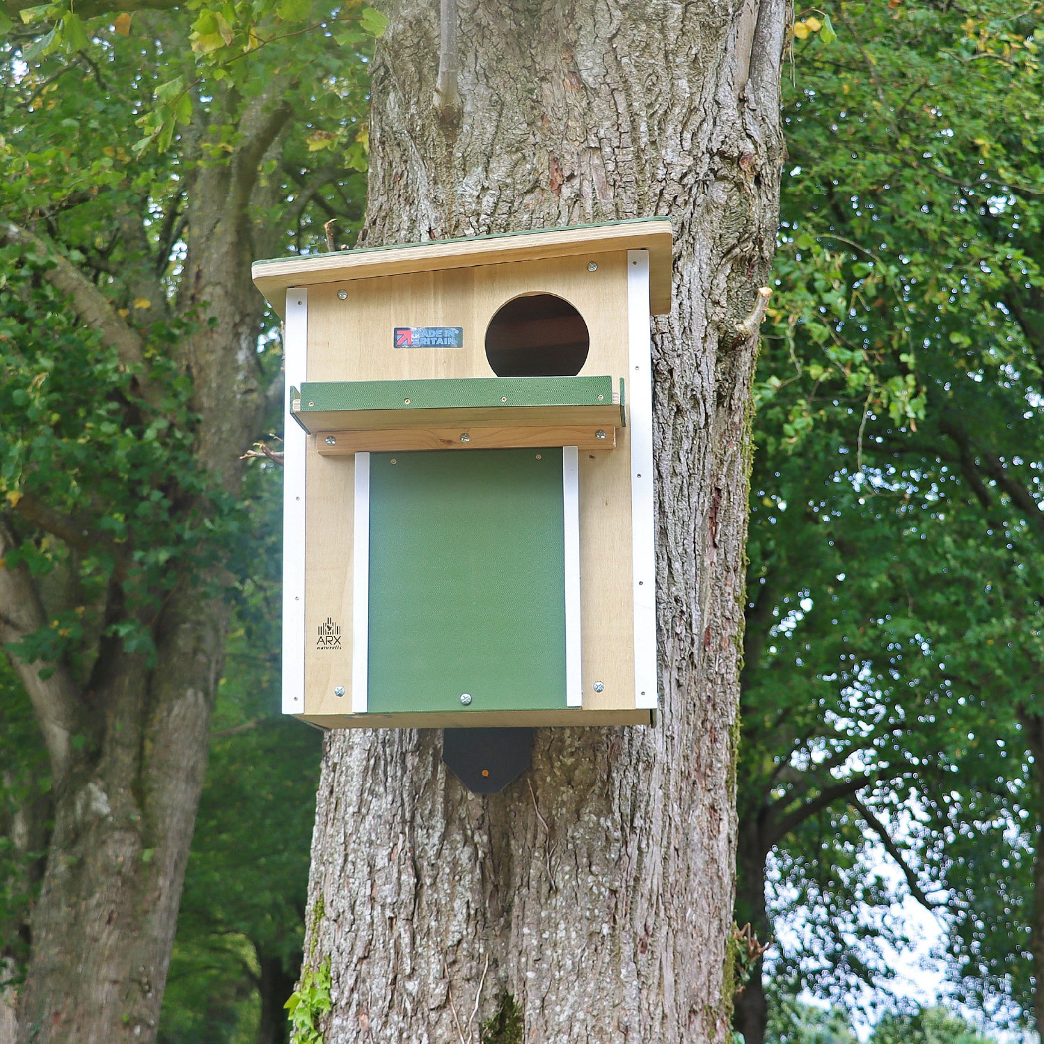 Owl / Kestrel Nest Box