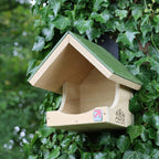 Open Ledge Bird Nester