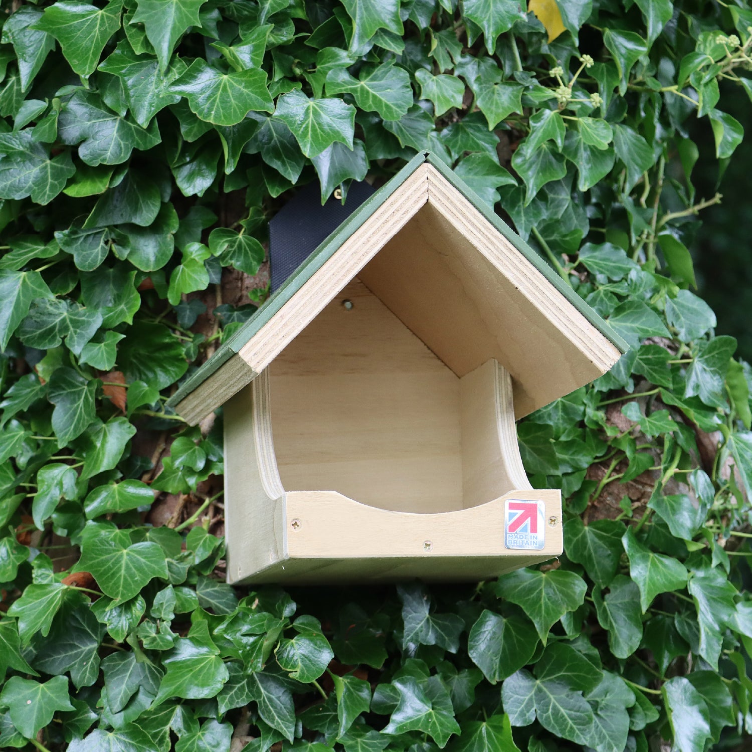 Open Ledge Bird Nester