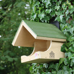 Open Ledge Bird Nester