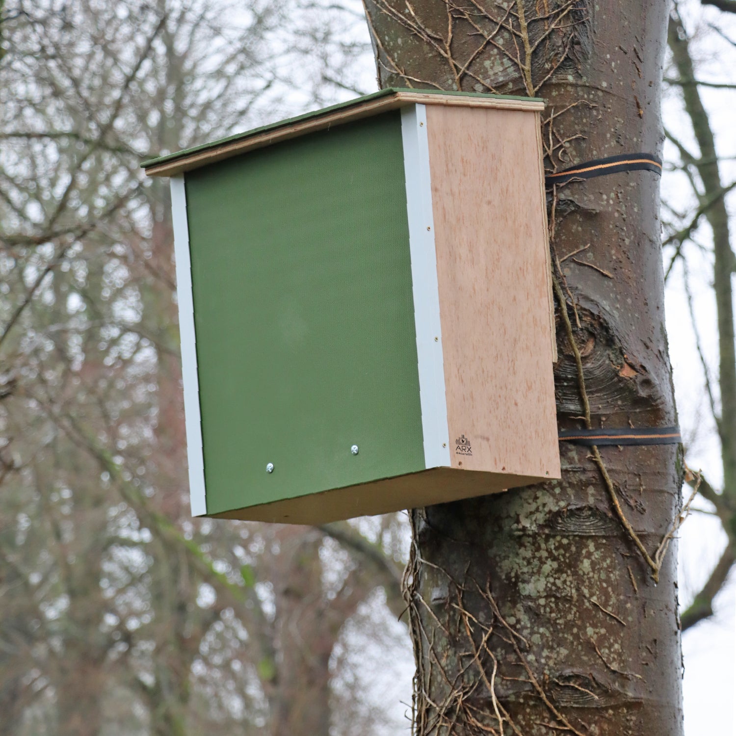 Pine Marten Box