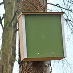 Pine Marten Box