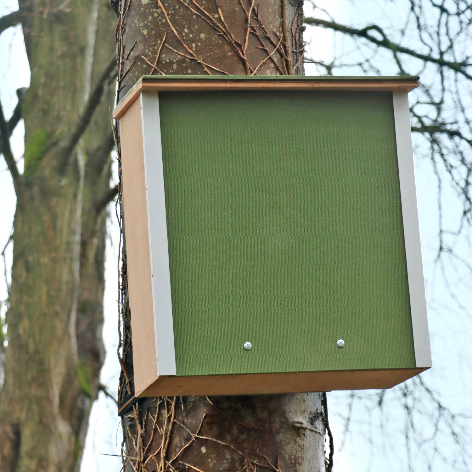 Pine Marten Box
