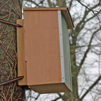 Pine Marten Box