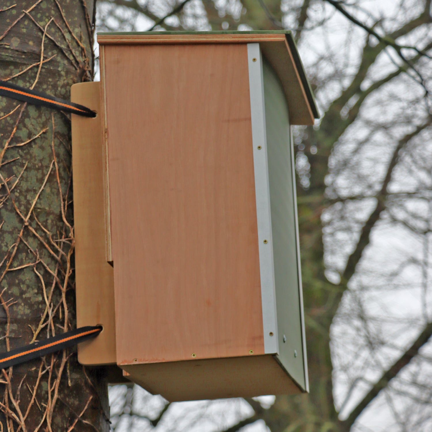 Pine Marten Box