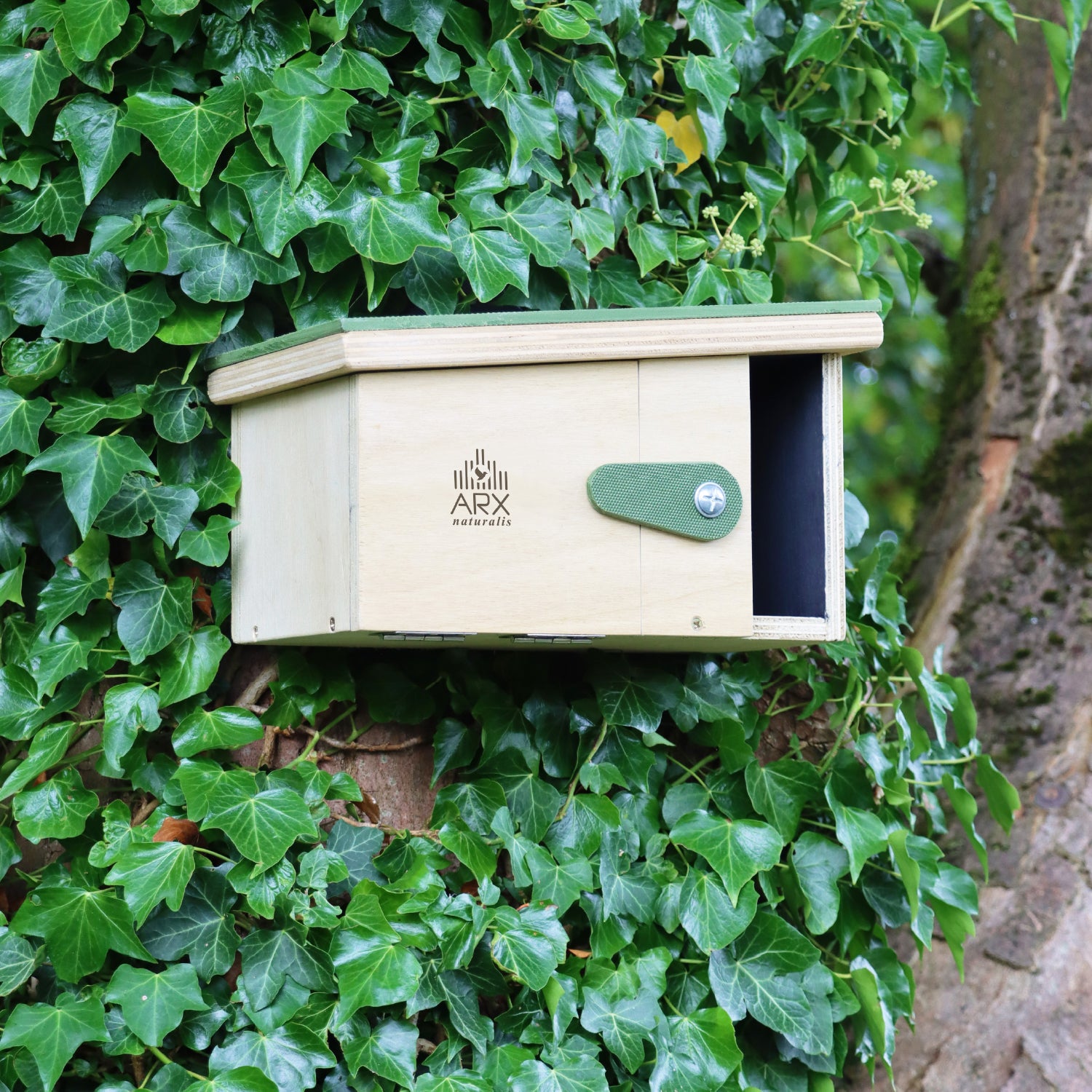 Passerine Safe House