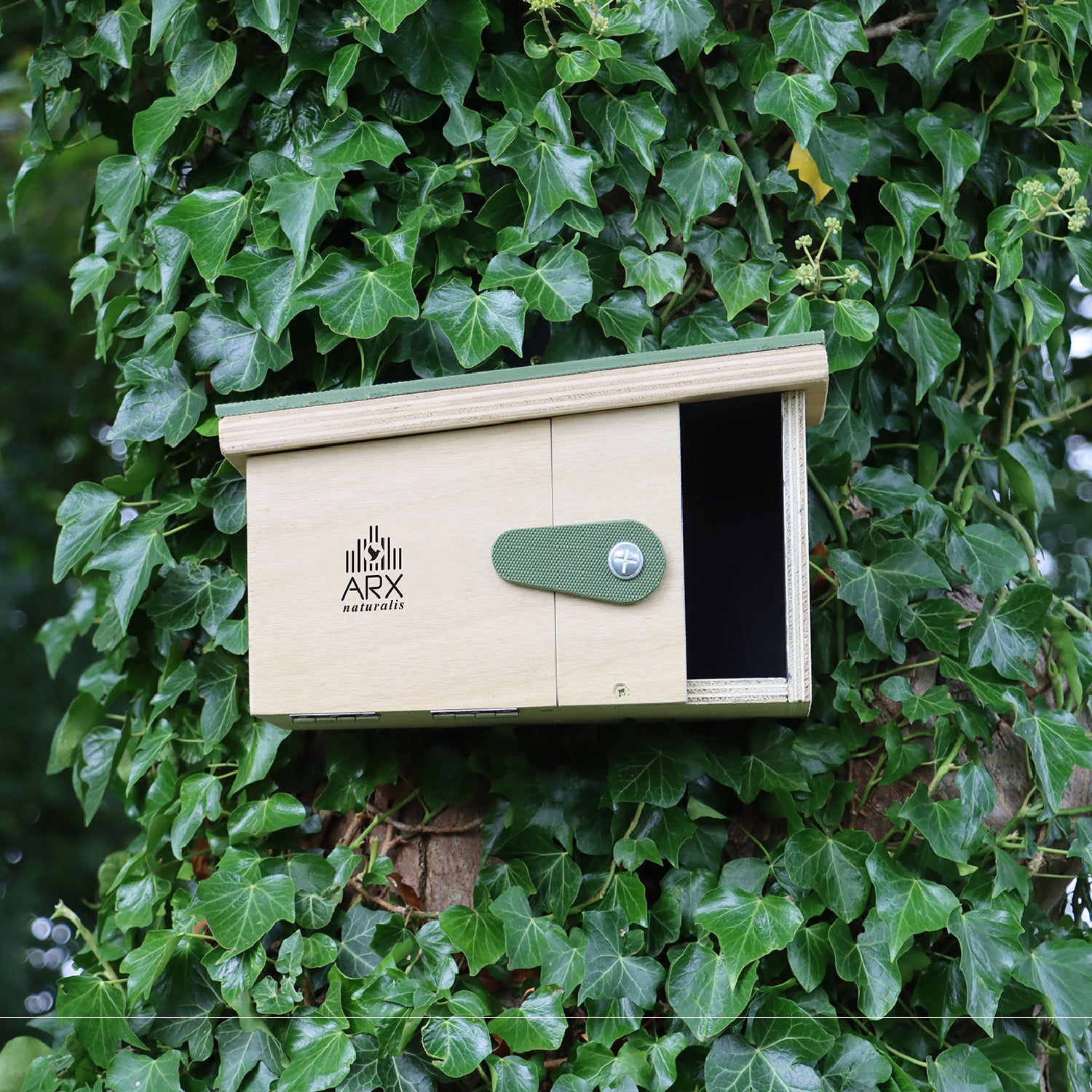 Passerine Safe House