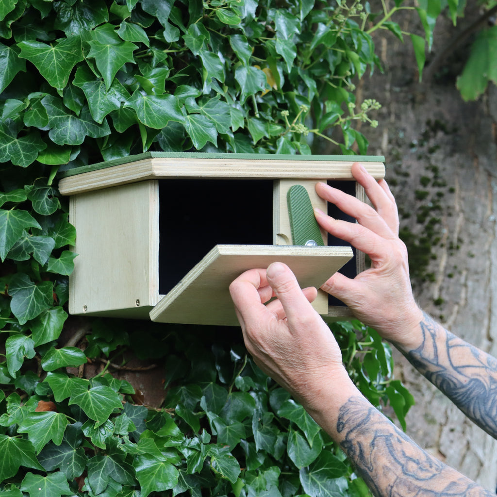 Passerine Safe House