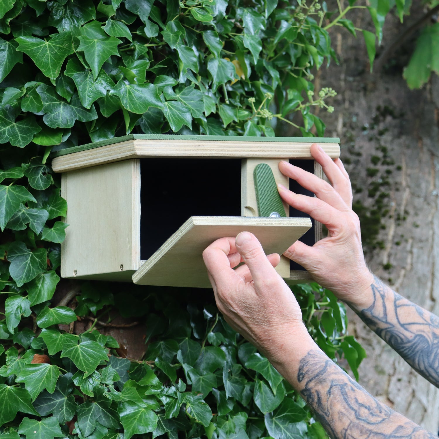 Passerine Safe House