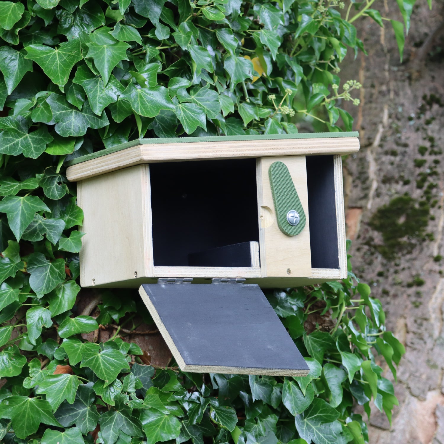 Passerine Safe House