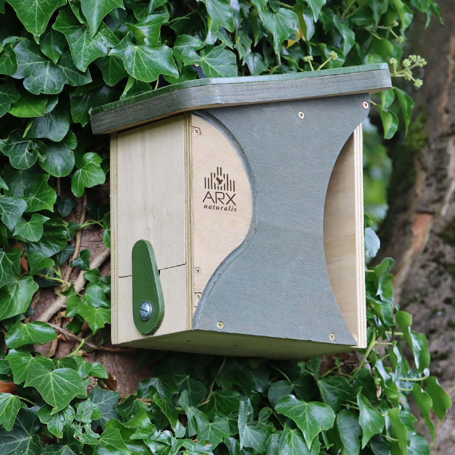 Redstart / Baffle Nest Box