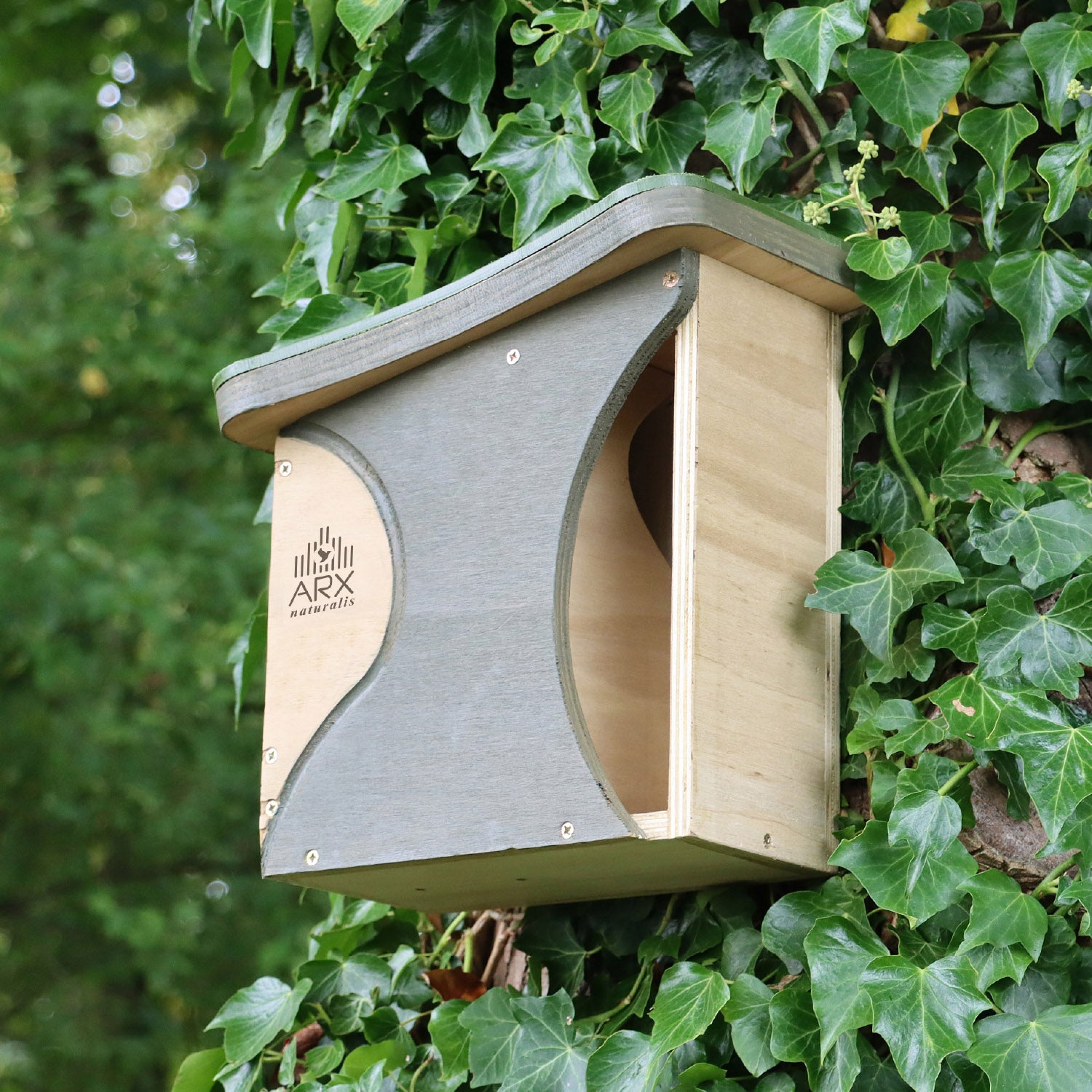 Redstart / Baffle Nest Box