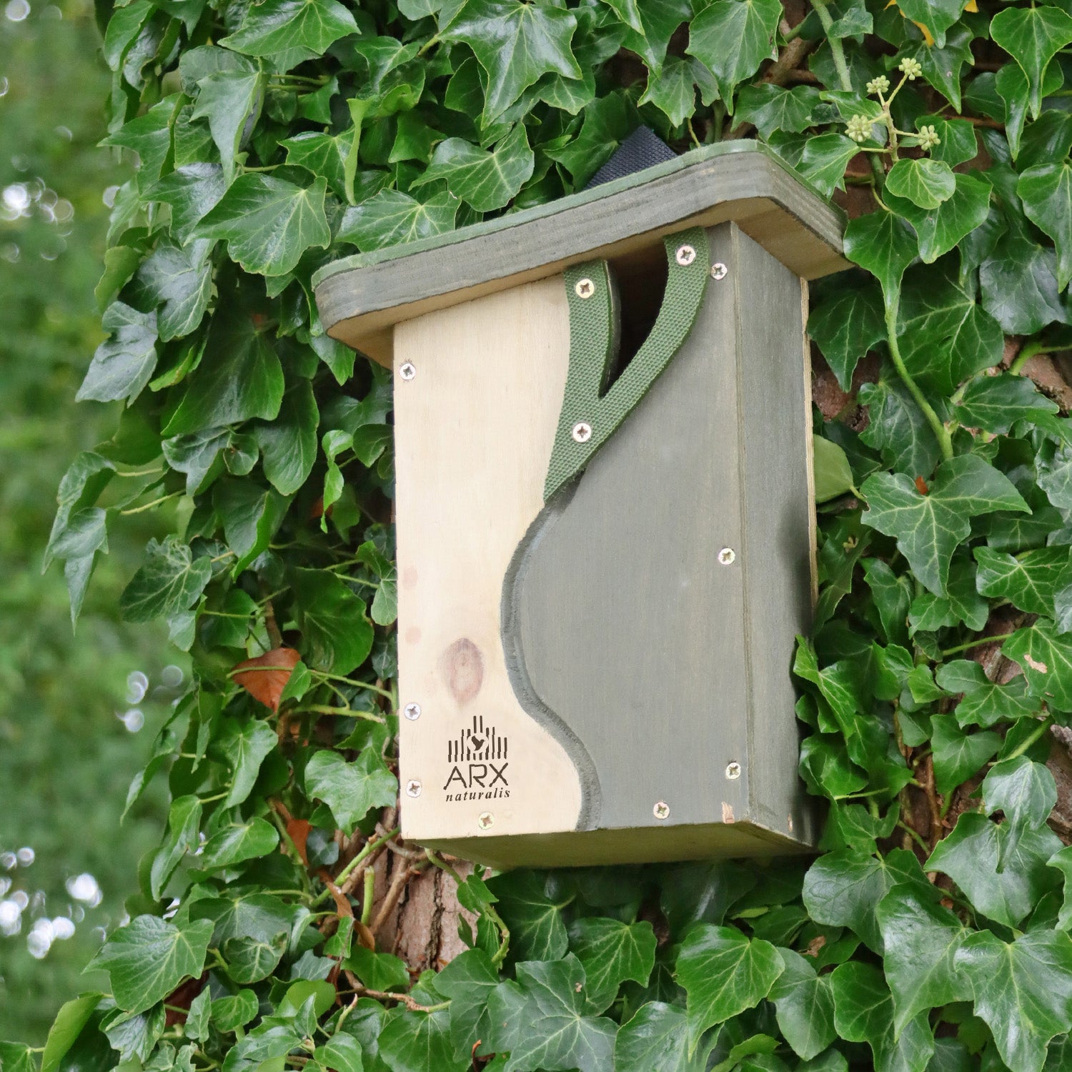 'Curve' Cavity Bird Nester