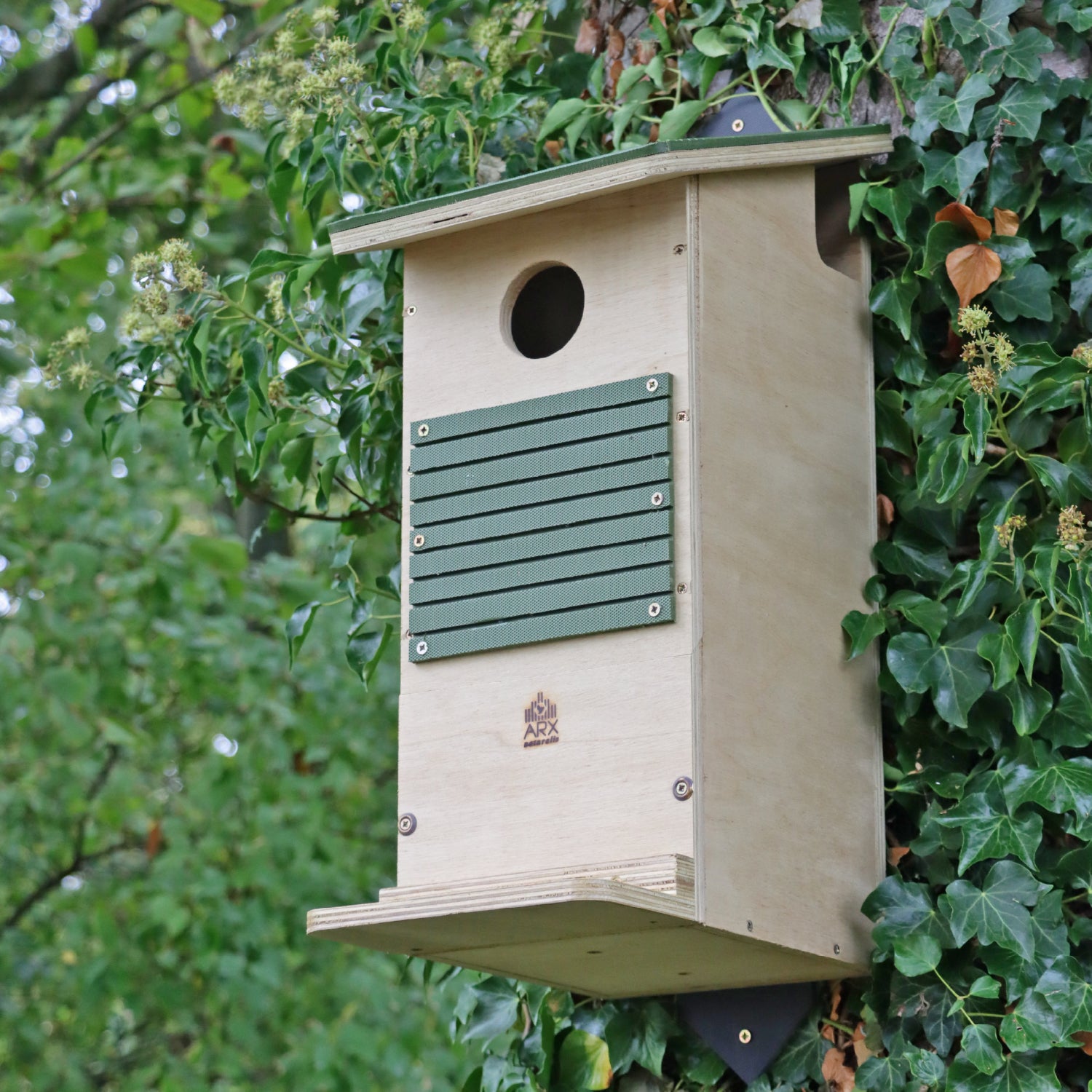 Red Squirrel Long-life Nest Box