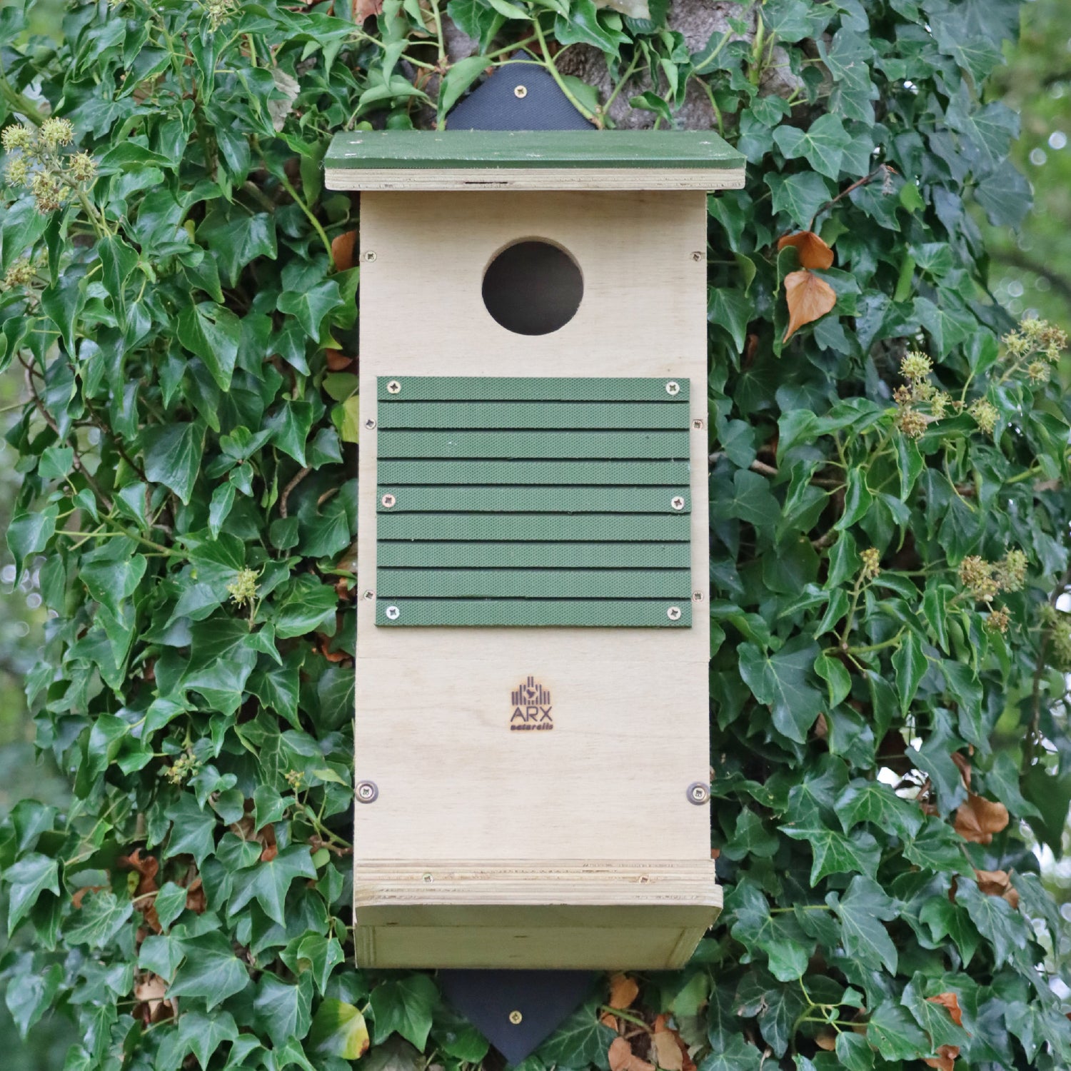 Red Squirrel Long-life Nest Box