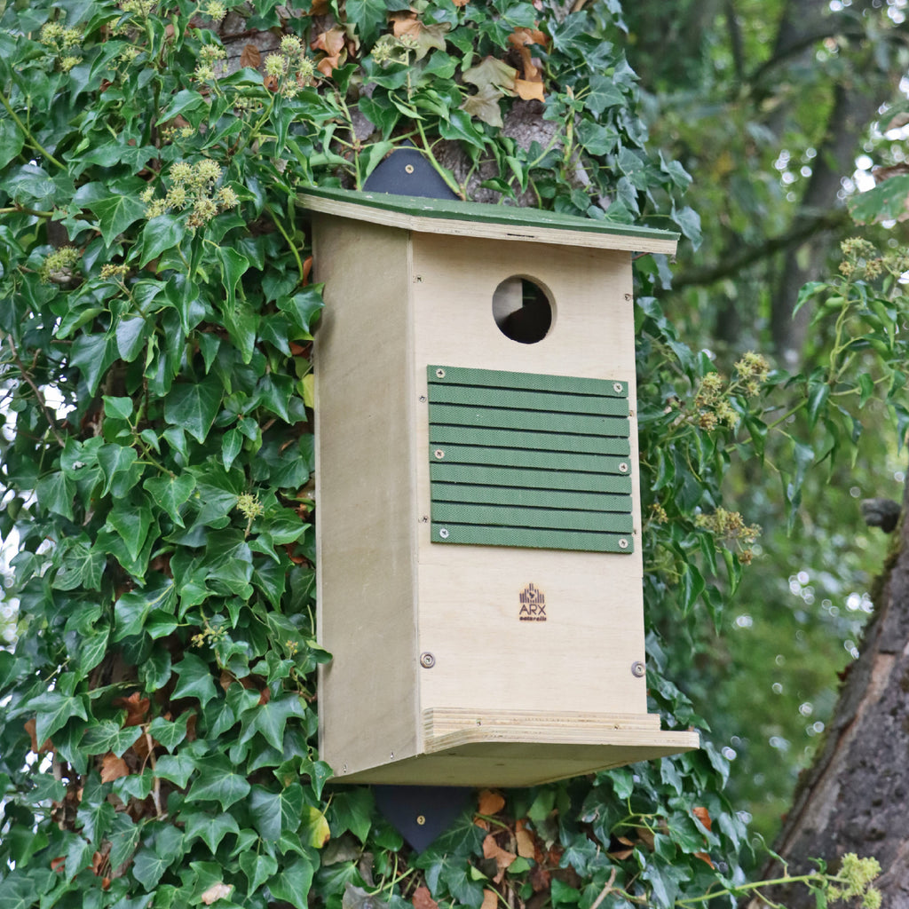 Red Squirrel Long-life Nest Box