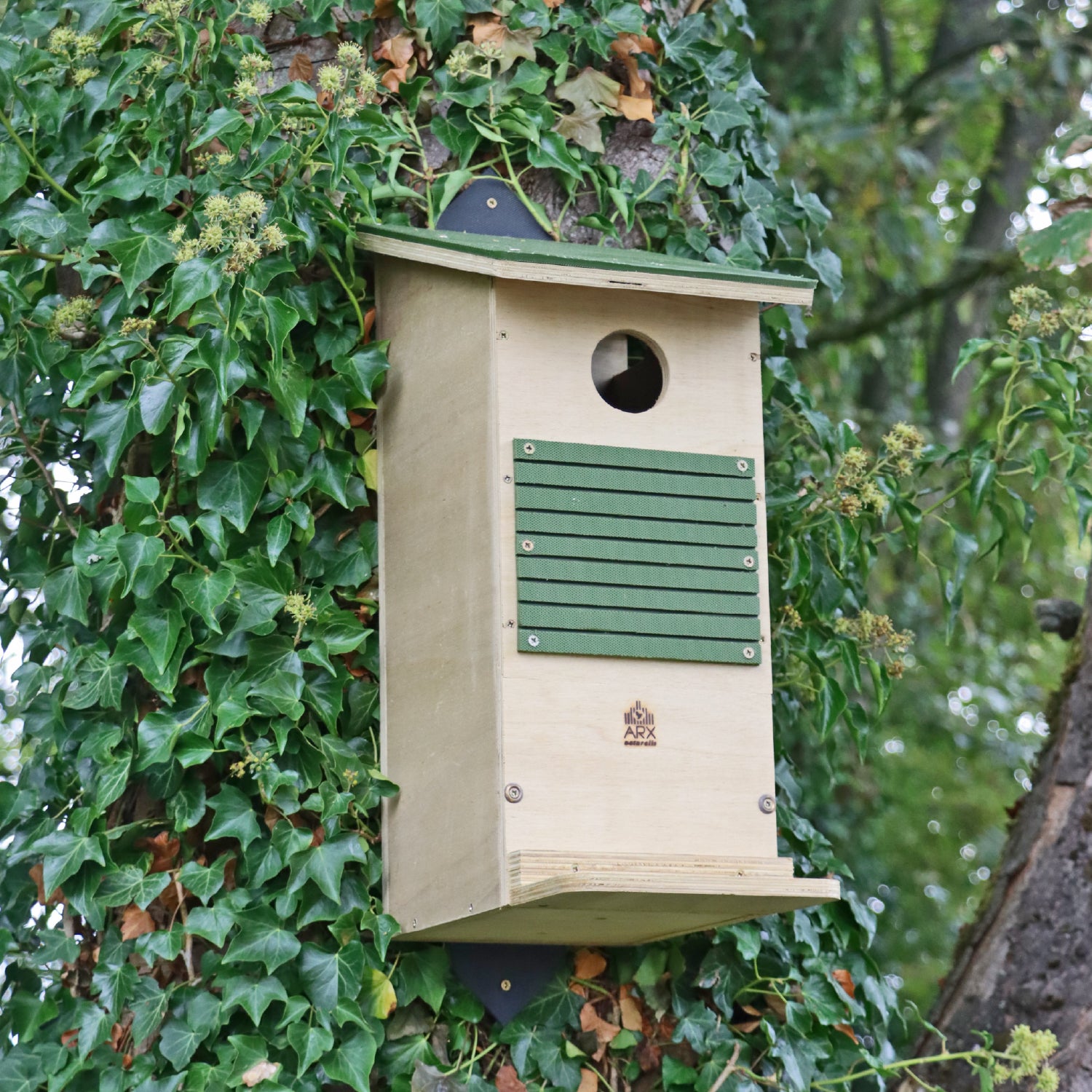 Red Squirrel Long-life Nest Box