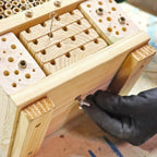 'Citizen Science' Bee Nester