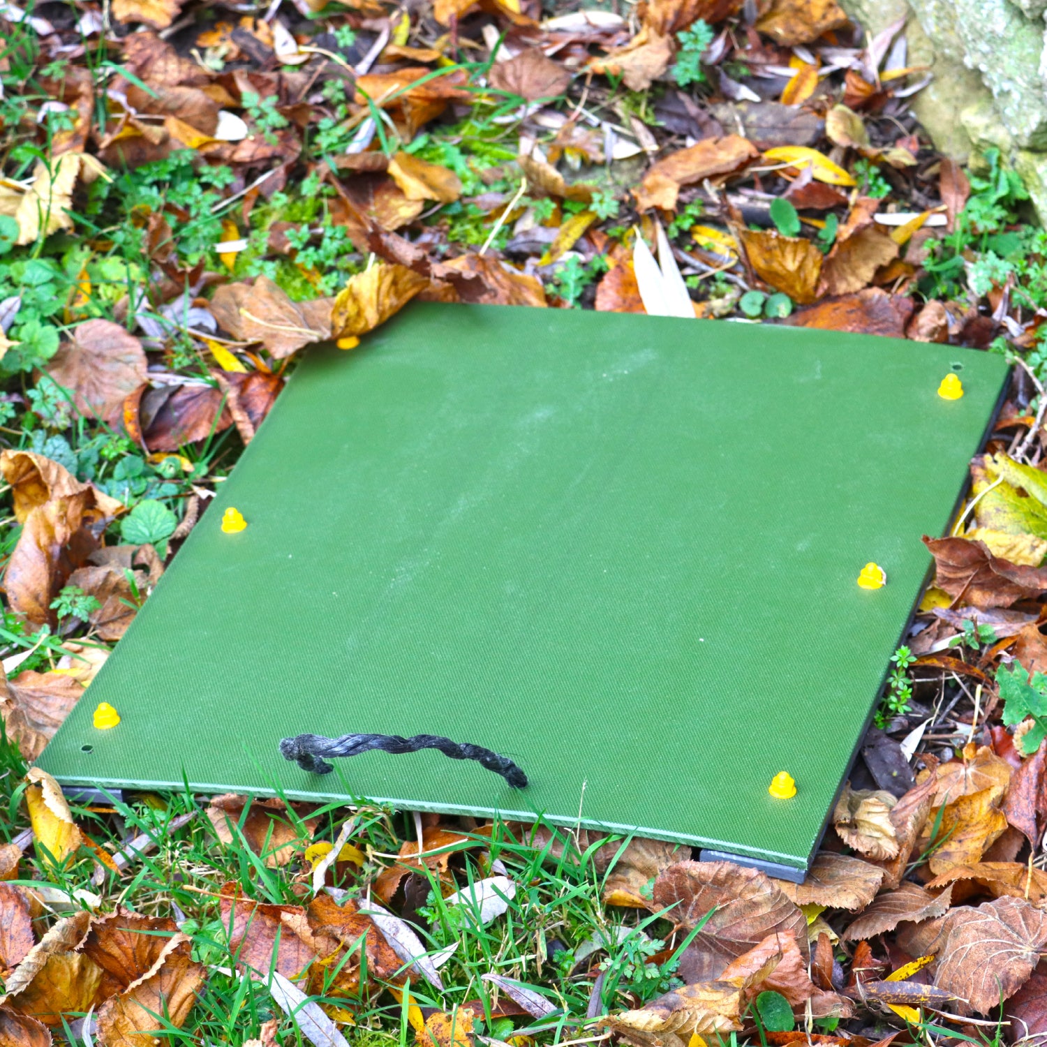 Nature Restoration Refugia Board image 0